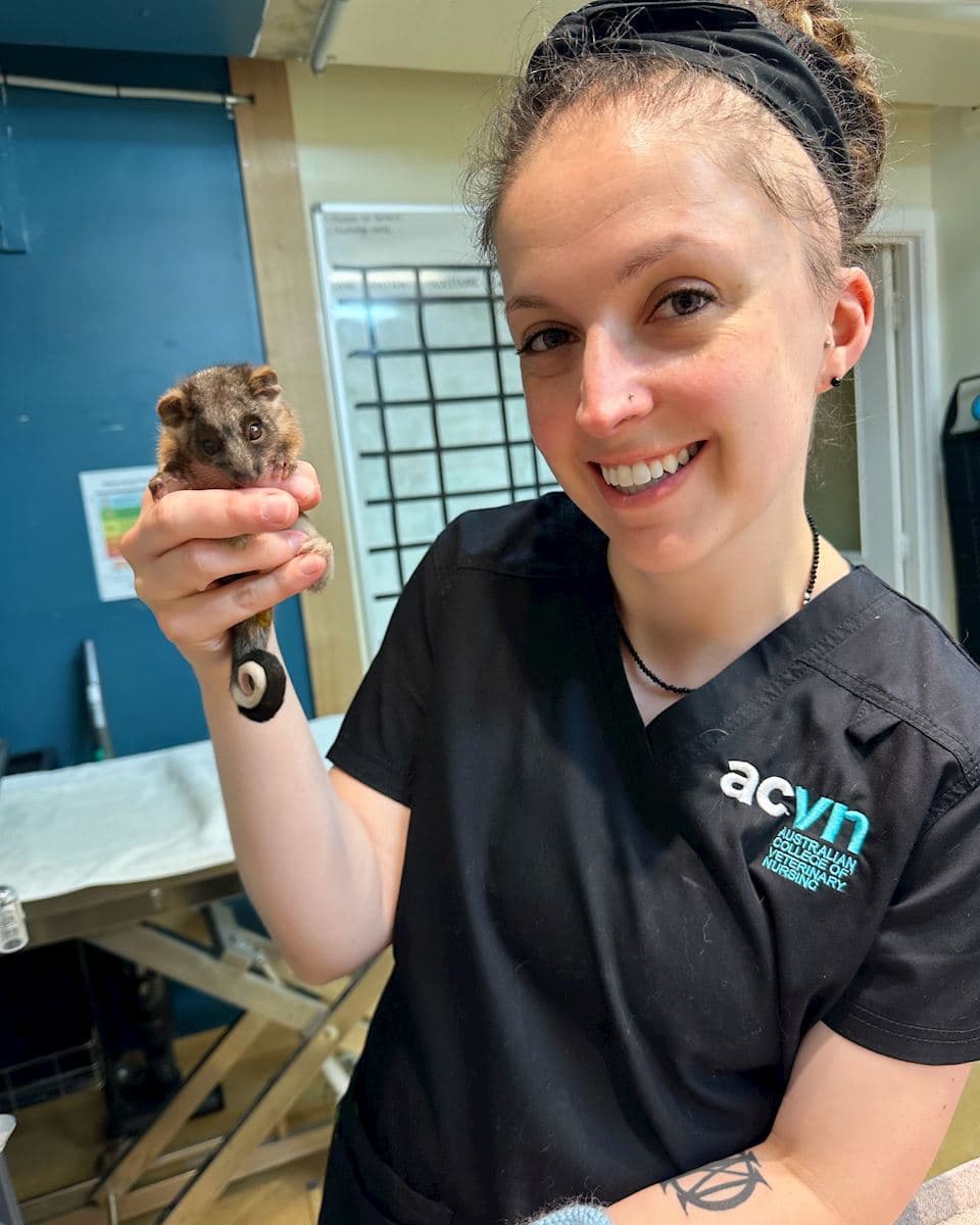 Natalie, Veterinary Nurse
