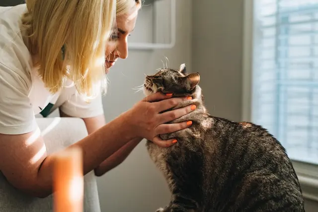 General Consultations at Ringwood East Vetcare